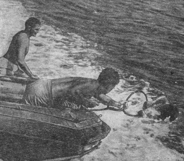 Ластоногие пловцы - i_015.jpg