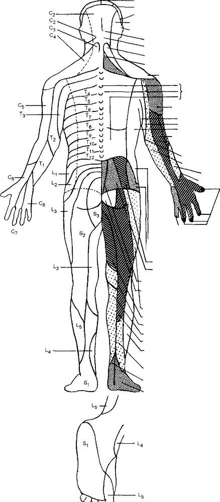 Оксфордский справочник для клиницистов - _95.jpg