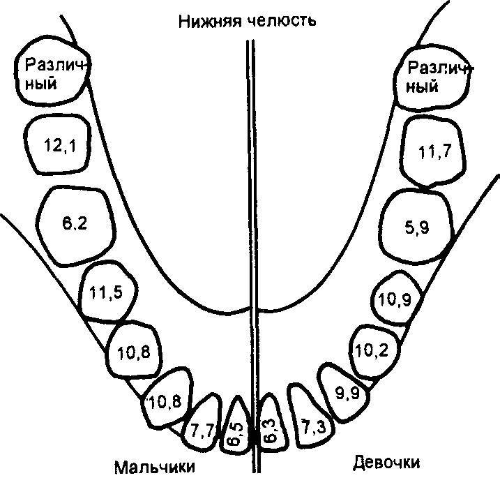 Оксфордский справочник для клиницистов - _30.jpg