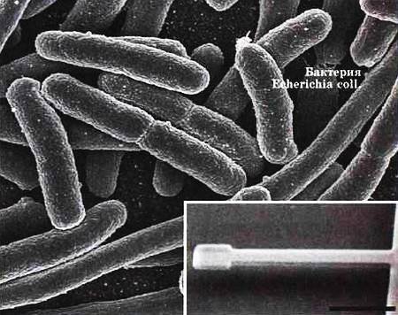 Юный техник, 2010 № 04 - _20.jpg