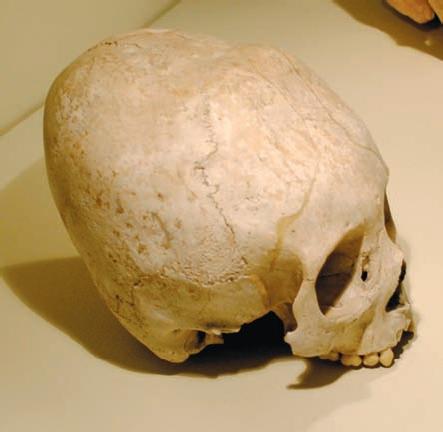 Сокровища майя и конец света - _31.jpg