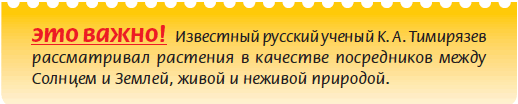 Плодоносящие растения - i_005.png