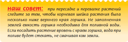 Плодоносящие растения - i_023.png