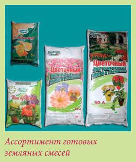 Плодоносящие растения - i_029.jpg