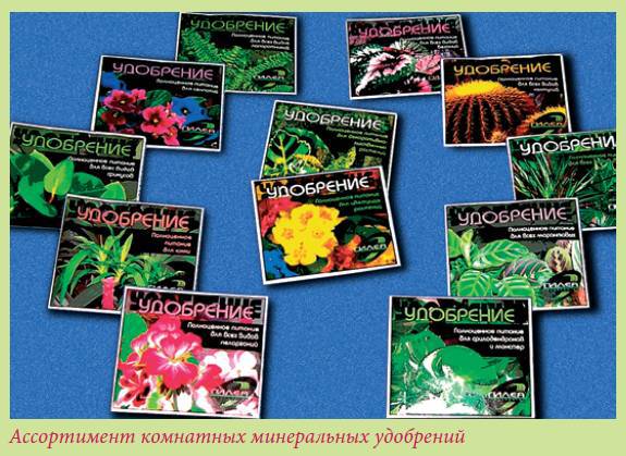 Луковичные растения - i_036.jpg