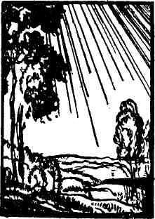 Тихий гром. Книги первая и вторая - img_3.jpeg