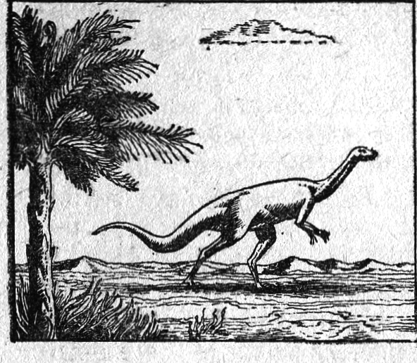 Вымершие и вымирающие виды - i_004.png