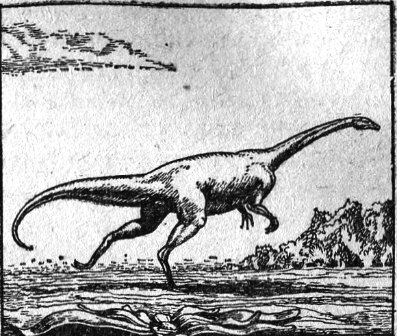 Вымершие и вымирающие виды - i_005.png