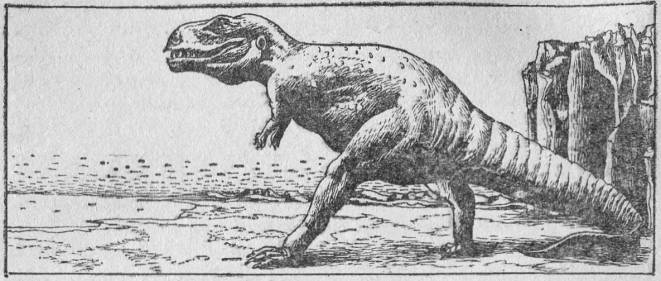 Вымершие и вымирающие виды - i_006.jpg