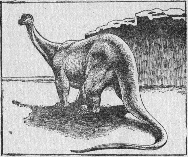 Вымершие и вымирающие виды - i_007.jpg