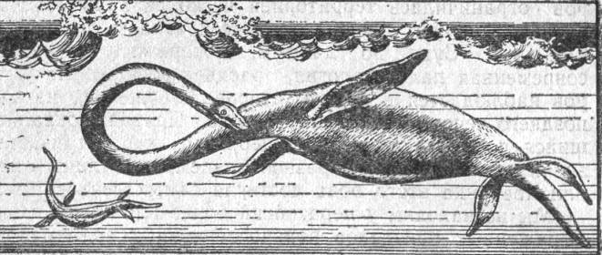 Вымершие и вымирающие виды - i_016.jpg