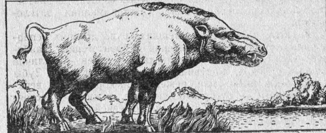 Вымершие и вымирающие виды - i_024.jpg