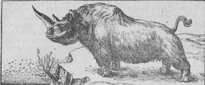 Вымершие и вымирающие виды - i_031.jpg