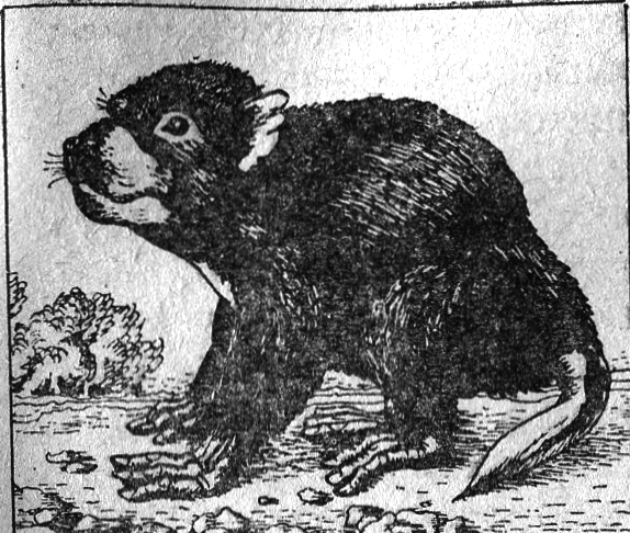 Вымершие и вымирающие виды - i_038.png