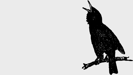 Заповедными тропами - img011.png