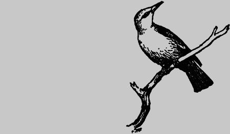 Заповедными тропами - img014.png