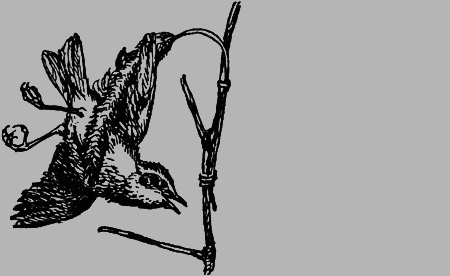 Заповедными тропами - img019.png