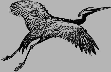 Заповедными тропами - img034.png