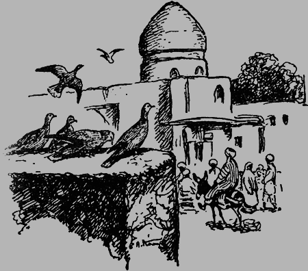 Заповедными тропами - img038.png