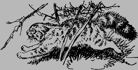 Заповедными тропами - img071.png