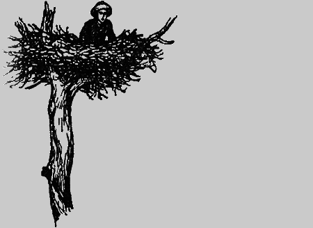 Заповедными тропами - img094.png