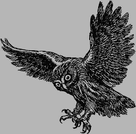 Заповедными тропами - img102.png