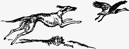 Заповедными тропами - img114.png