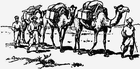 Заповедными тропами - img117.png