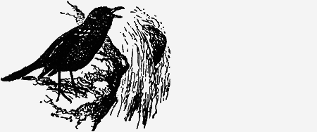 Заповедными тропами - img123.png