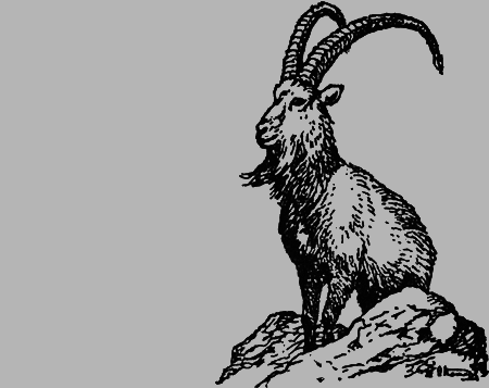 Заповедными тропами - img126.png