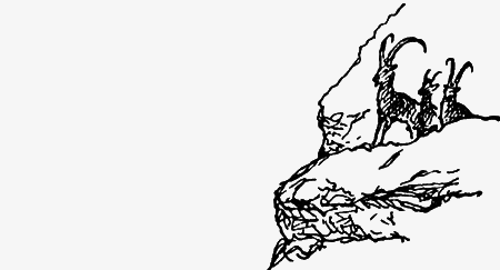 Заповедными тропами - img127.png