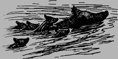 Заповедными тропами - img159.png