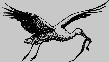 Заповедными тропами - img164.png