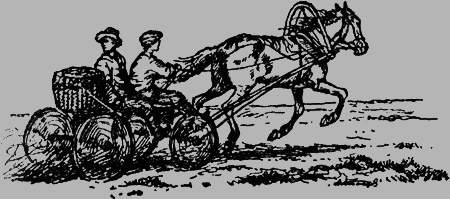 Заповедными тропами - img165.png