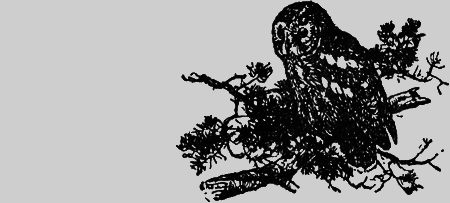 Заповедными тропами - img171.png