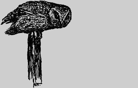 Заповедными тропами - img185.png