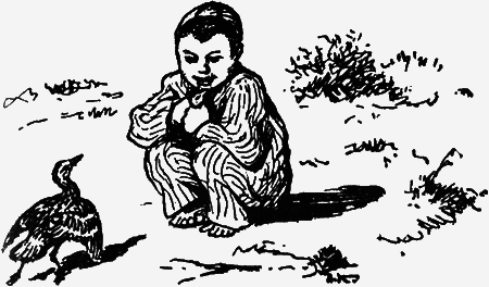 Заповедными тропами - img192.png