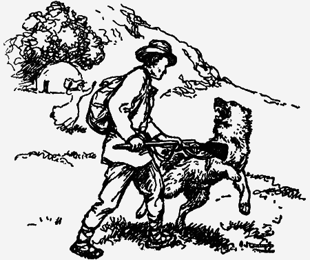 Заповедными тропами - img202.png