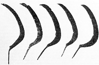 Літопис Руський. Повість минулих літ - _44.png