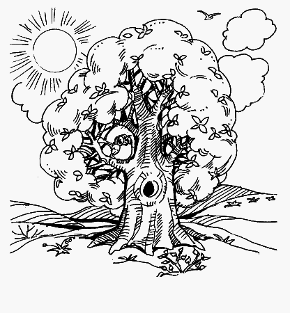 1000 загадок - _000_1.png