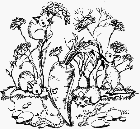 1000 загадок - _031.png