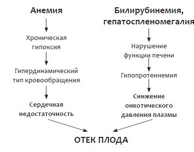 Изоиммунизация при беременности - i_005.png