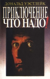 Приключение — что надо! (сборник) - автор Уэстлейк Дональд Эдвин 