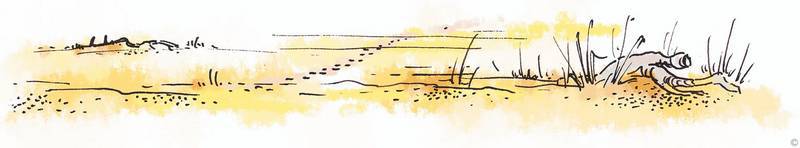 Рассказы о детях (с иллюстрациями)  - i_023.jpg