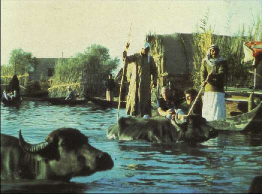 Когда риск - это жизнь! - _132.jpg