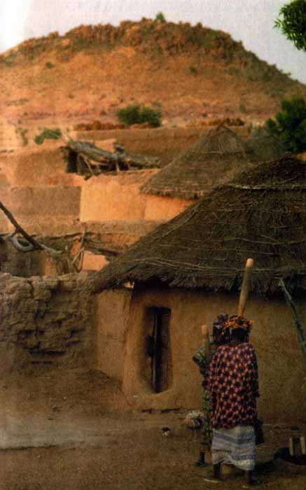 Черный феникс. Африканское сафари - img01.jpg