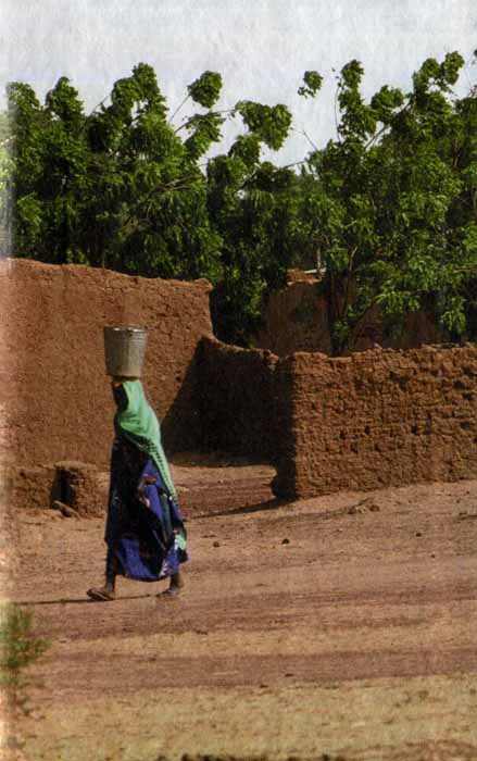 Черный феникс. Африканское сафари - img03.jpg