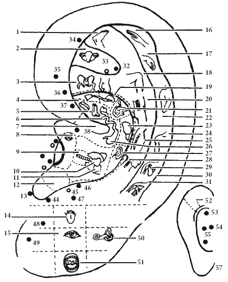 Главные правила здоровой и счастливой жизни после 40 - i_022.png