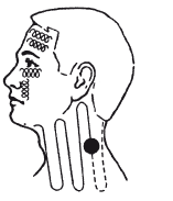 Главные правила здоровой и счастливой жизни после 40 - i_114.png