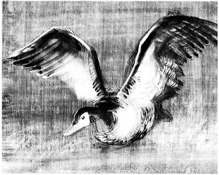 Звёздный егерь - i_006.jpg